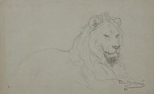 Study Of A Lion's Head, 1832-1899. Creator: Rosa Bonheur