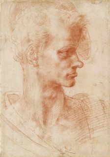Study of a Man's Head, 1501-1505. Creator: Michelangelo Buonarroti
