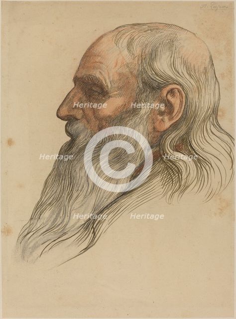 Study of a Man's Head with a Full Beard. Creator: Alphonse Legros.