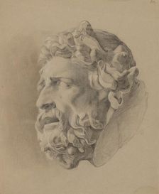 Study of a man with a beard based on a plaster cast, around 1848. Creator: Friedrich Carl von Scheidlin