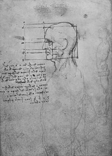 Study of a Man's Nude Torso, the Head Squared for Proportion c1480 (1945). Artist: Leonardo da Vinci