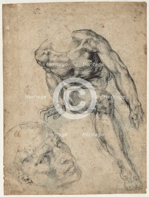 Study of a male nude, ca 1537. Creator: Buonarroti, Michelangelo (1475-1564).