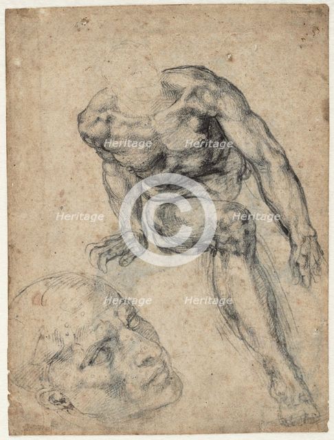 Study of a male nude, ca 1537. Creator: Buonarroti, Michelangelo (1475-1564).