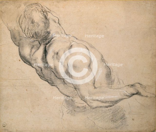 Study of a nude male Torso, 1600-1640. Artist: Peter Paul Rubens.