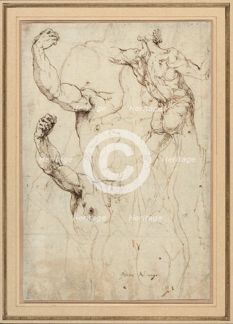 Study of a Nude Seen from the Back, and Two Studies of an Arm (recto); Nude...,c.1528. Creator: Perino del Vaga.