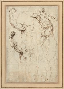 Study of a Nude Seen from the Back, and Two Studies of an Arm (recto); Nude...,c.1528. Creator: Perino del Vaga