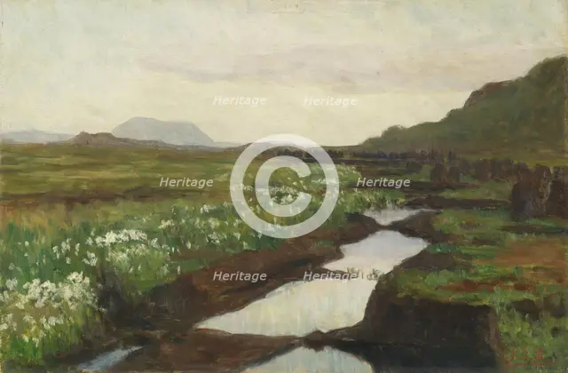 Study of a Peat Bog on Jaeren, c1897. Creator: Kitty Lange Kielland.