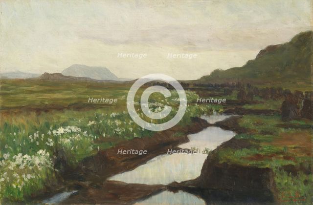 Study of a Peat Bog on Jaeren, c1897. Creator: Kitty Lange Kielland.