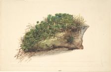 Study of a Piece of Turf, early 19th century. Creator: Anon