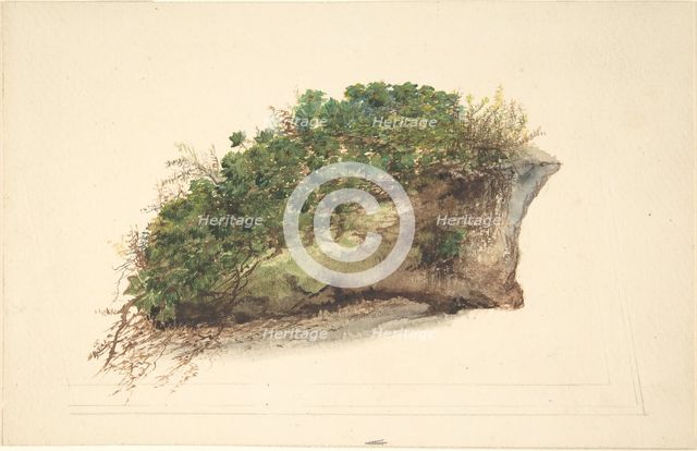 Study of a Piece of Turf, early 19th century. Creator: Anon.