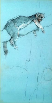 Study of a Puma, c1900s. Creator: John MacAllan Swan