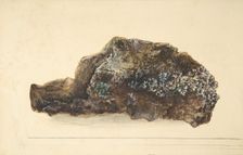 Study of a Rock, early 19th century. Creator: Anon