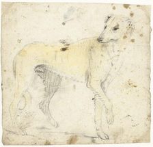 Study of a running dog, c.1626-before 1662. Creator: Gerard ter Borch I