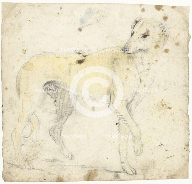 Study of a running dog, c.1626-before 1662. Creator: Gerard ter Borch I.