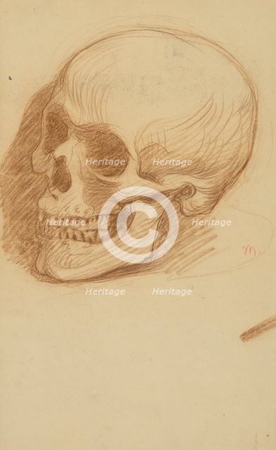 Study of a skull, 1895-1900. Creator: Milan Thomka Mitrovsky.