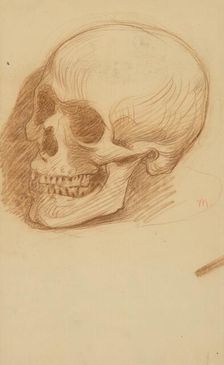 Study of a skull, 1895-1900. Creator: Milan Thomka Mitrovsky