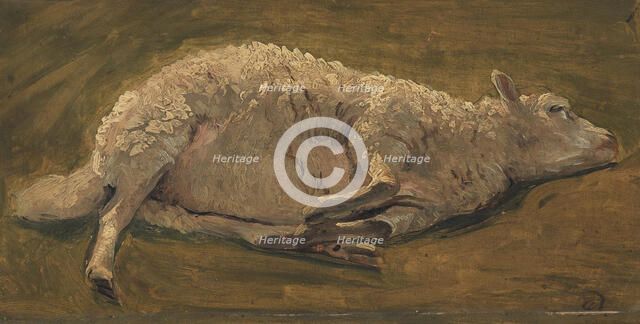 Study of a sheep lying down, 1846. Creator: Carlo Eduardo Dalgas.
