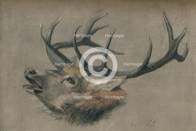 'Study of a Stag's Head', c1901. Artist: John Sydney Steel.