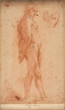 Study of a Standing Male Nude, with a Study of Head in Three-Quarter Profile, c. 1640. Creator: Cecco Bravo (Italian, 1607-1661)