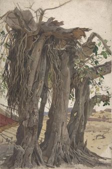 Study of a Stump with Aerial Roots, mid-19th-early 20th century. Creator: Woldemar Friedrich