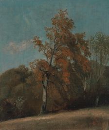 Study of an Ash Tree, between 1801 and 1803 or between 1810 and 1830. Creator: John Constable