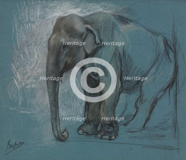Study of an Elephant. Creator: John Macallan Swan (British, 1847-1910).