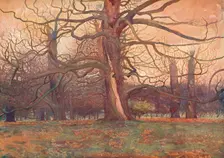 Study of an Oak Tree c1878 (1903-1904). Artist: George Wilson