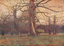 Study of an Oak Tree c1878 (1903-1904). Artist: George Wilson