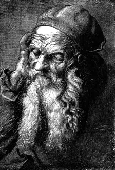Study of an Old Man late 15th - early 16th century (1882)