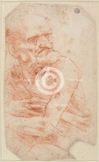 Study of an Old Man, Second half of the 15th century. Creator: Leonardo da Vinci (1452-1519).