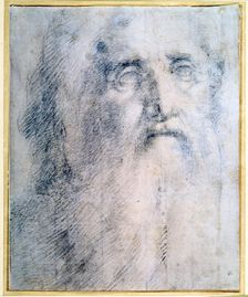 Study of an old Man's head with a beard c1535. Artist: Domenico Beccafumi