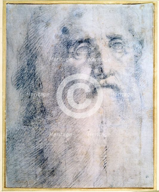 'Study of an old Man's head with a beard', c1535. Artist: Domenico Beccafumi