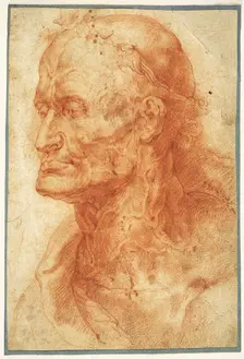 Study of an Old Man's Head, ca 1602. Creator: Rubens, Pieter Paul (1577-1640)