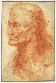 Study of an Old Man's Head, ca 1602. Creator: Rubens, Pieter Paul (1577-1640)