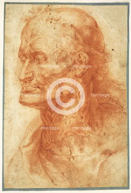 Study of an Old Man's Head, ca 1602. Creator: Rubens, Pieter Paul (1577-1640).