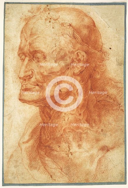Study of an Old Man's Head, ca 1602. Creator: Rubens, Pieter Paul (1577-1640).