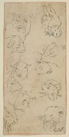 Study of animal heads.n.d. Creator: Claude Gillot