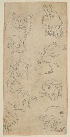 Study of animal heads.n.d. Creator: Claude Gillot