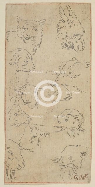 Study of animal heads.n.d. Creator: Claude Gillot.