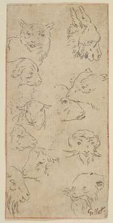 Study of animal heads.n.d. Creator: Claude Gillot