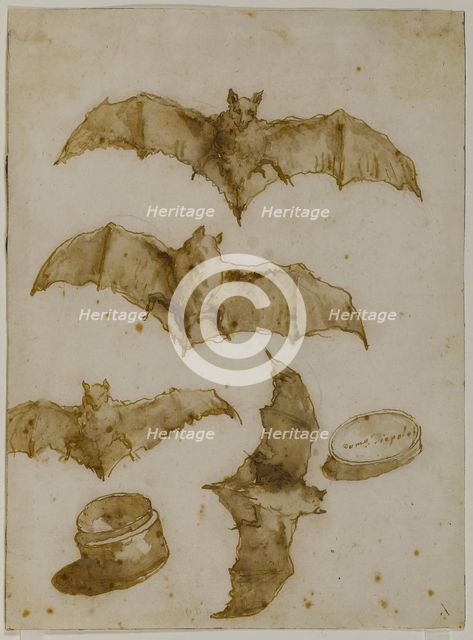 Study of bats and open box, 1790. Creator: Tiepolo, Giandomenico (1727-1804).
