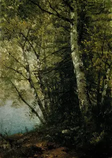 Study of Beeches, 1872. Creator: John Frederick Kensett