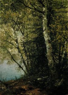 Study of Beeches, 1872. Creator: John Frederick Kensett