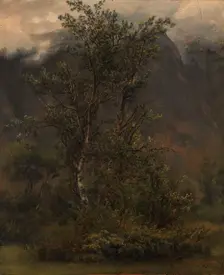 Study of Birches in Romsdal, 1836. Creator: Thomas Fearnley