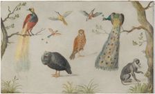 Study of Birds and Monkey, 1660/1670. Creator: Anon