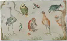 Study of Birds and Monkeys, 1660/1670. Creator: Anon