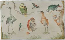 Study of Birds and Monkeys, 1660/1670. Creator: Anon