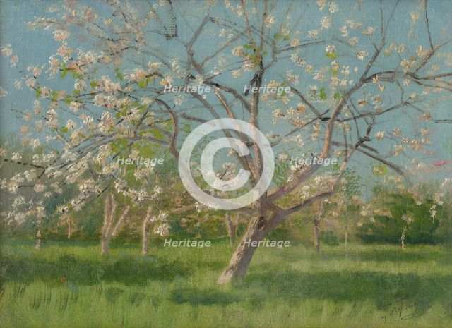 Study of Blooming Trees in an Orchard, around 1900. Creator: Ladislav Mednyanszky.