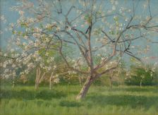 Study of Blooming Trees in an Orchard, around 1900. Creator: Ladislav Mednyanszky