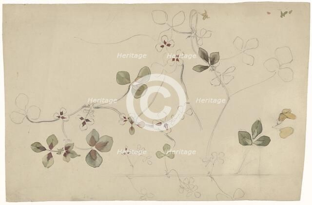 Study of butterfly flower, 1869-1925. Creator: Antoon Derkinderen.